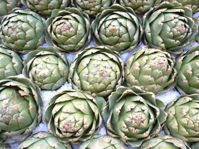 artichokes.jpg