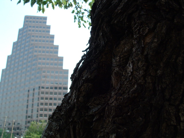 DSCF0011.JPG