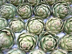 artichokes.jpg